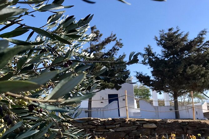 Wine Tasting and Tour in Saint Anna Winery in Naxos - Who will enjoy this Naxos wine tour?