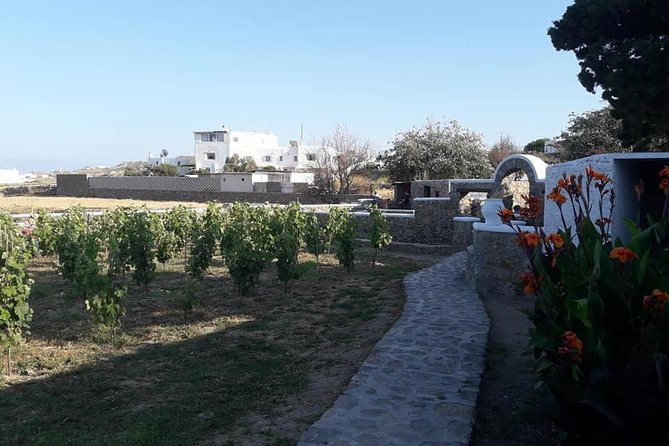 Wine Tasting Tour at a traditional farm in Mykonos - What makes the sommelier the highlight