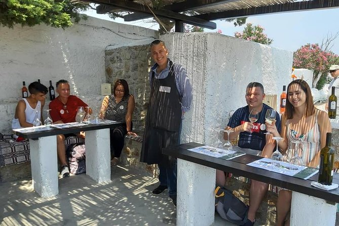 Wine Tasting Tour at a traditional farm in Mykonos - Midday or evening: choosing the better departure