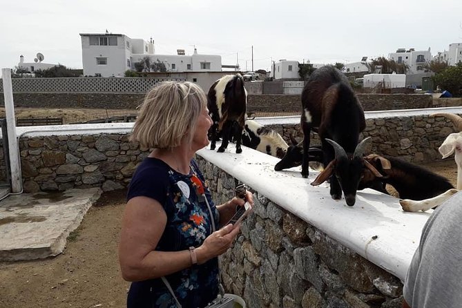 Wine Tasting Tour at a traditional farm in Mykonos - Pickup details that can affect the price