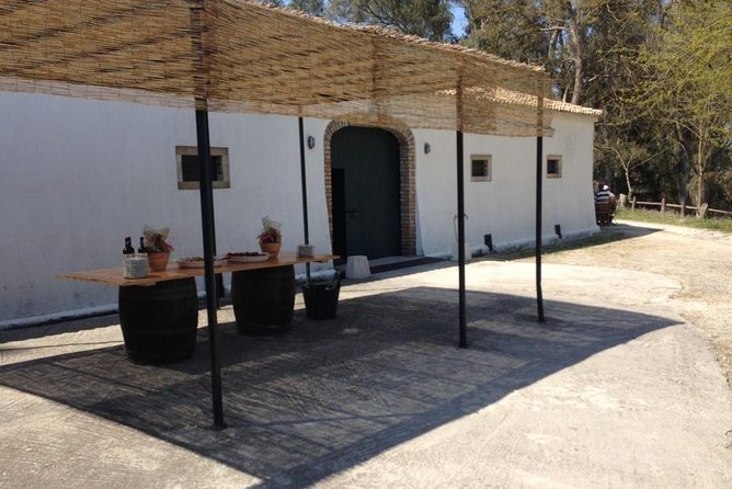 Winery tour with Wine and Olive tasting in Corfu - Who will enjoy this Corfu wine experience?