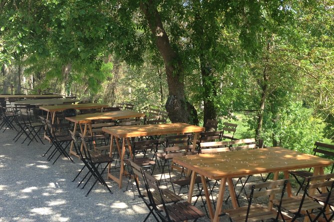 Winery tour with Wine and Olive tasting in Corfu - Inside the winery and cellar