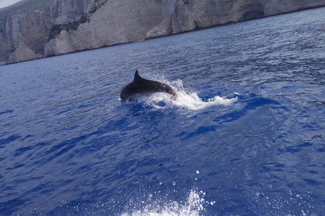 Zakynthos All Day Tour Shipwreck beach, view point-Blue Caves - Bochali Hill gives you your first island view