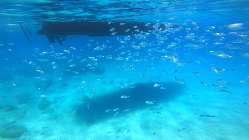 Zakynthos: Blue Caves and Navagio Bay Swim Cruise - My verdict on the Agios Nikolaos boat trip
