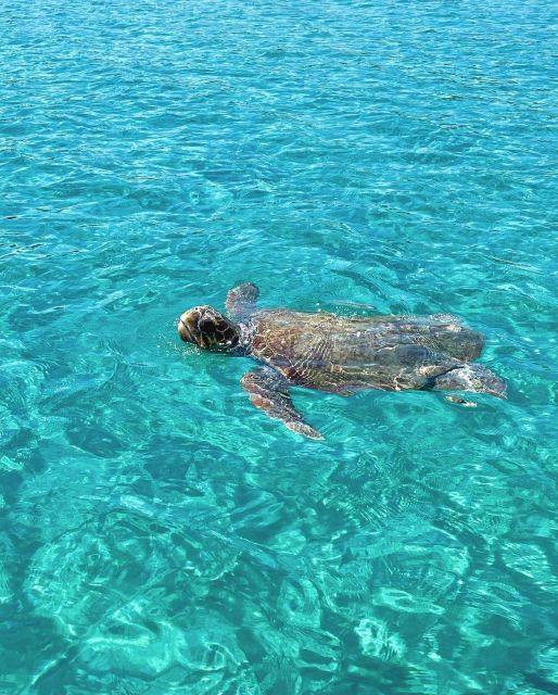 Zakynthos: Boat Rental - Swimming and snorkeling from the boat