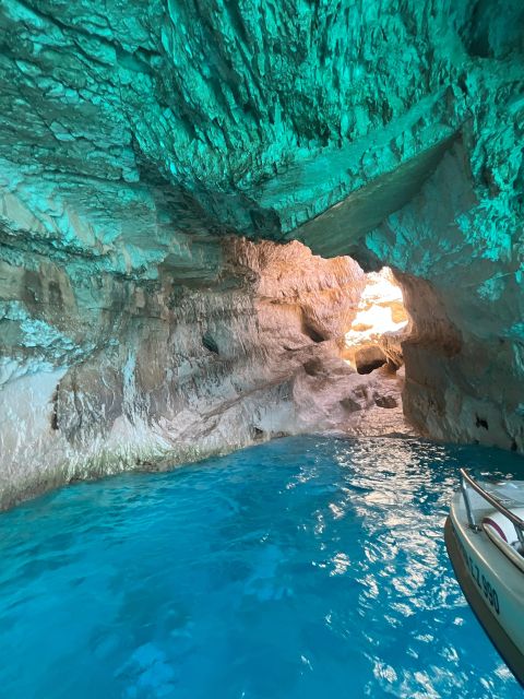 Zakynthos: Glass-Bottom Boat to Navagio, Caves & White Beach - The old olive tree and local tastes