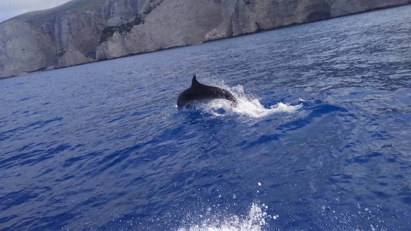 Zakynthos: Shipwreck Beach, Viewpoint, Blue Caves Day Tour - The three-hour boat trip to Shipwreck and the Blue Caves