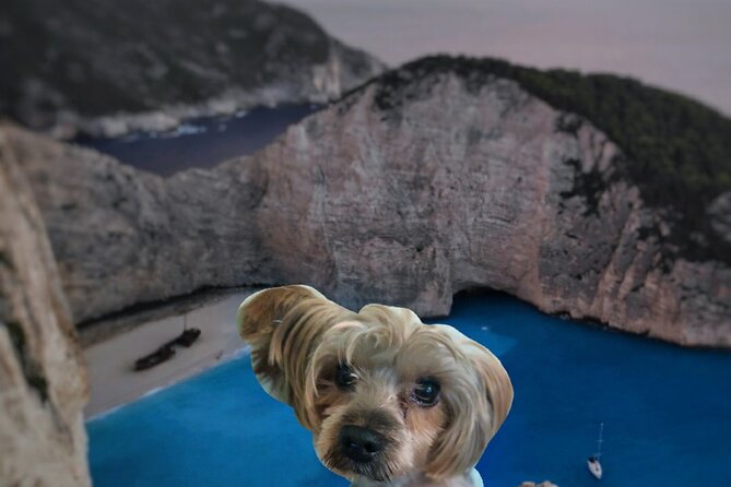 Zakynthos Small Group Tour Shipwreck bay Blue Caves by Land & Sea - Navagio Panagioti brings you close to the wreck