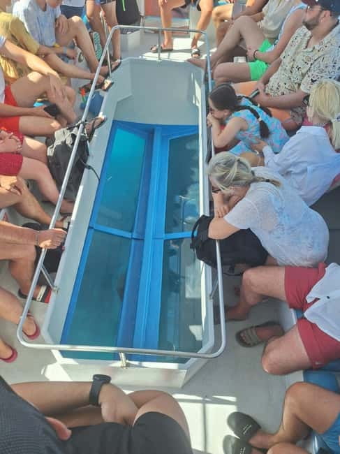 Zakynthos: Turtle Spotting, Marathonísi & Keri Caves Cruise - Is the $25.41 price good value?