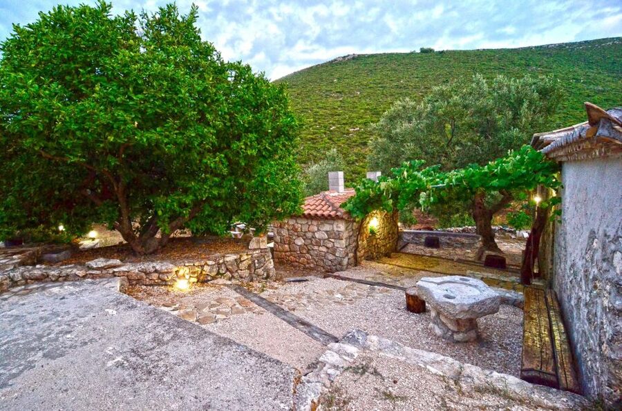 Zakynthos: Vineyard & Winery Tour with Local Winemaker - The wine tasting and Zakynthos flavors